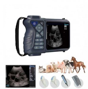 veterinary ultrasound machine