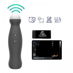 wireless ultrasound scanner

