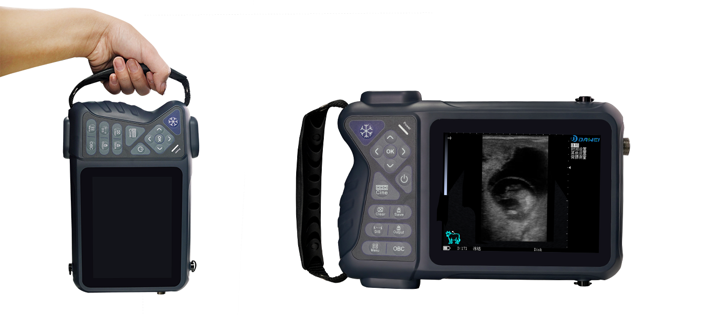 Handheld Veterinary Ultrasound 