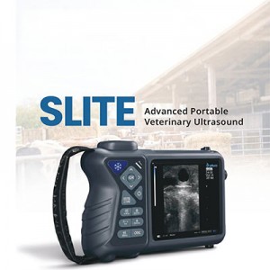 Dawei Slite portable cattle ultrasound machine 