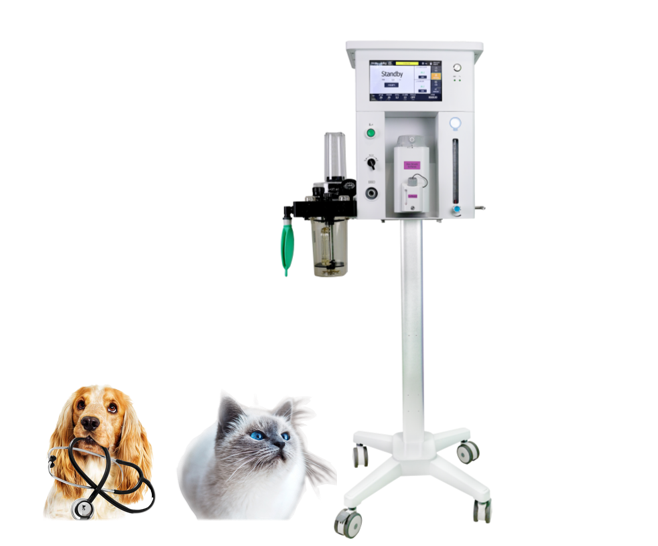 Animal Anesthesia Equipment