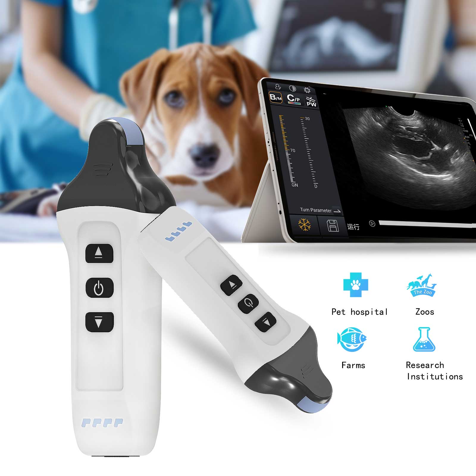 wireless veterinary ultrasound