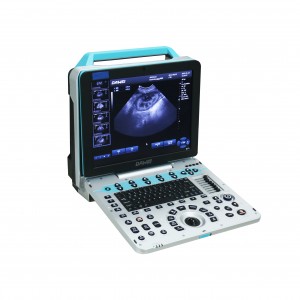 Sistem Ultrasound Veterinar P5-VET